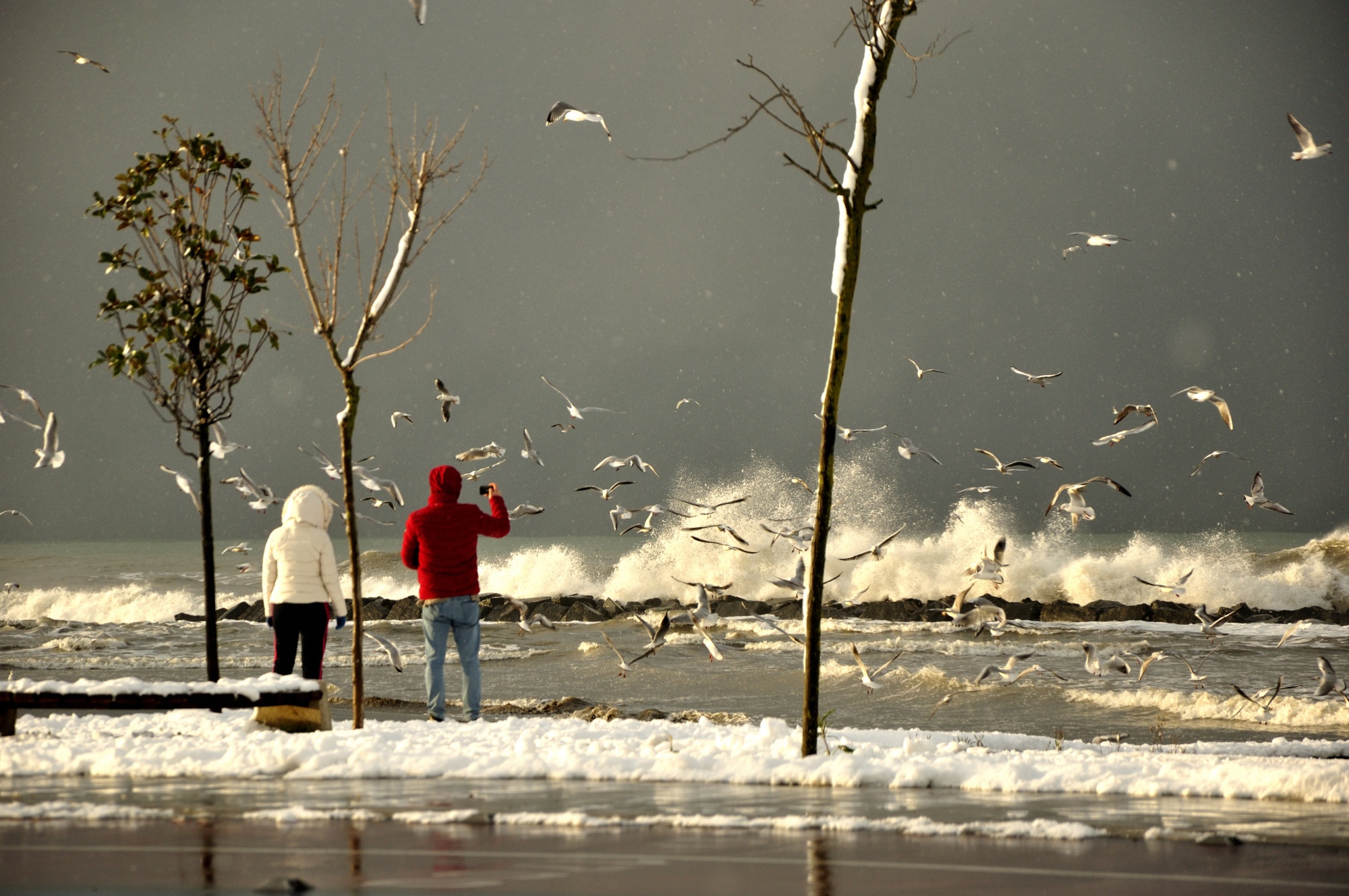 Altınordu Akyazı Sahili